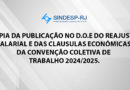 SINDESP-RJ/DIR 013/2024